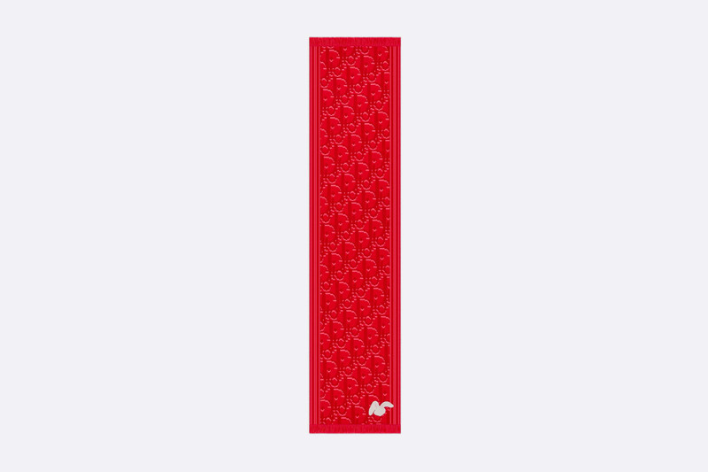 Dior DIOR BY ERL Scarf outlook