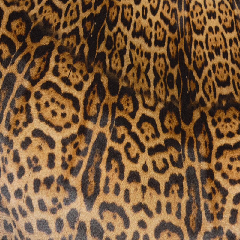 Long silk dress with Jaguar Skin print 5