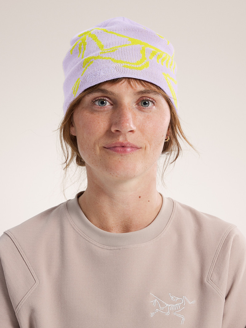 Arc'teryx Bird Head Toque outlook