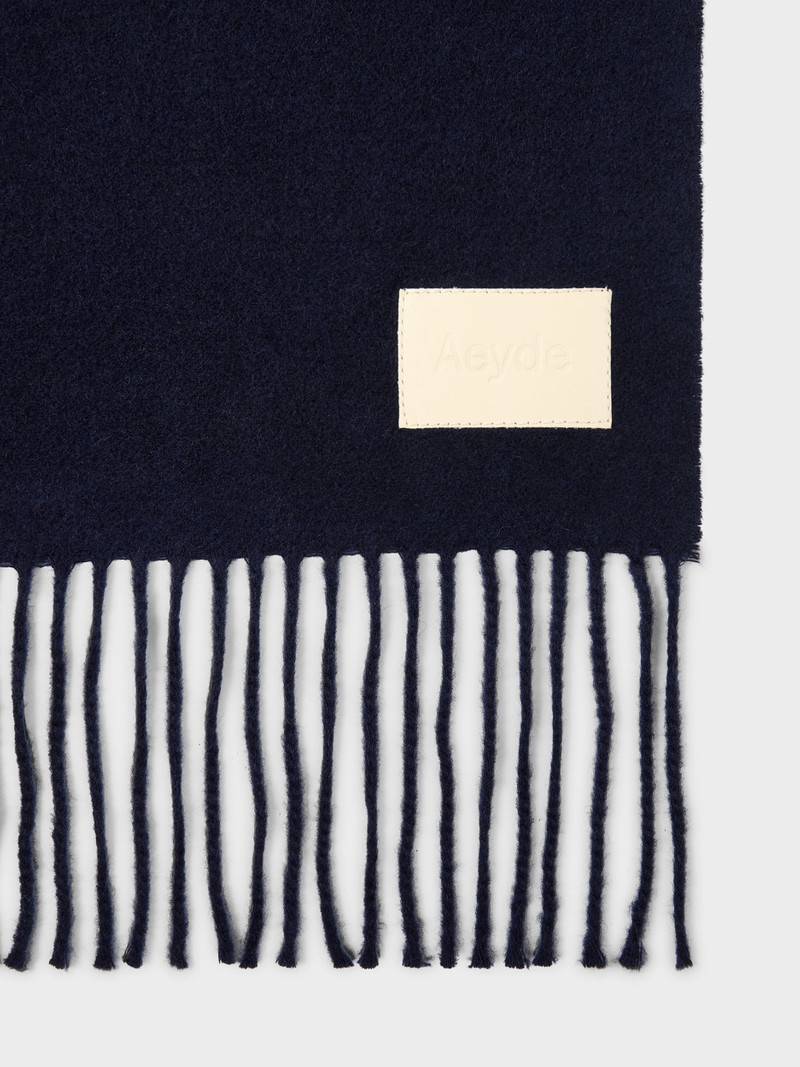 Aeyde Bela Cashmere Scarf outlook