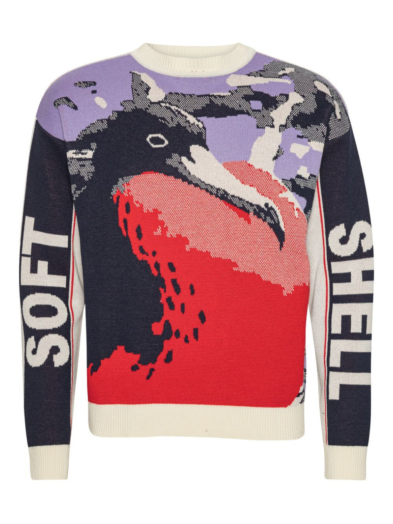 bird graphic sweater 1