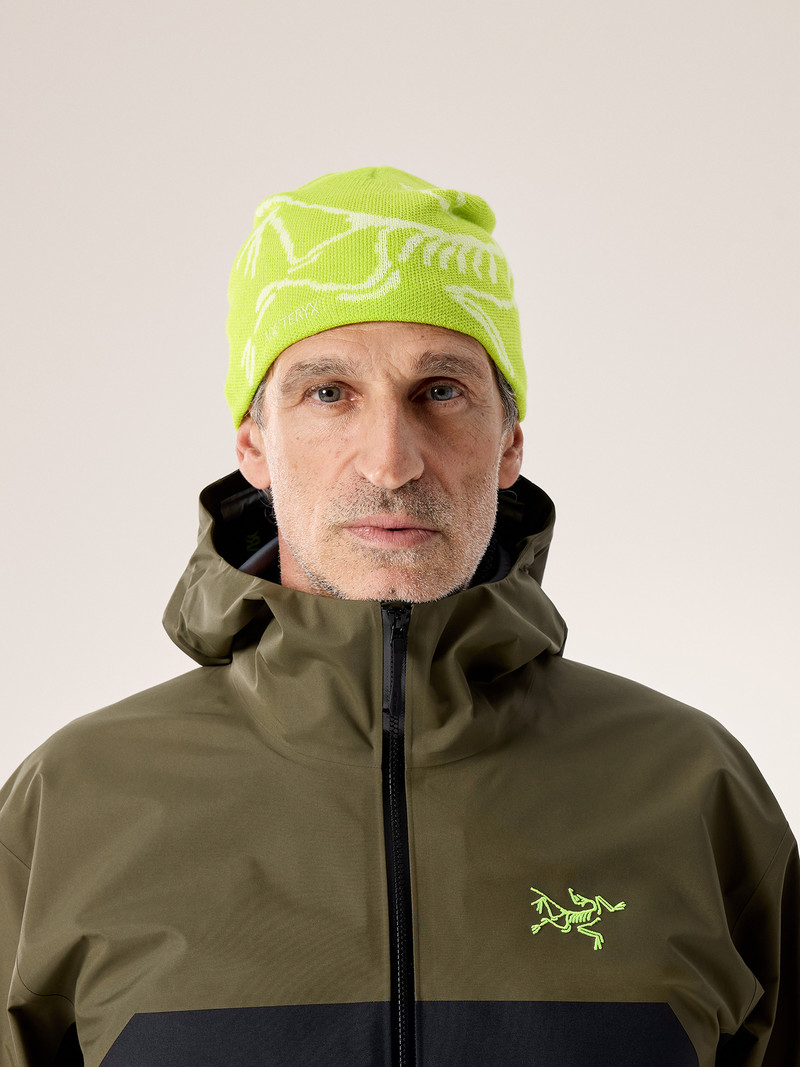 Arc'teryx Bird Head Toque outlook