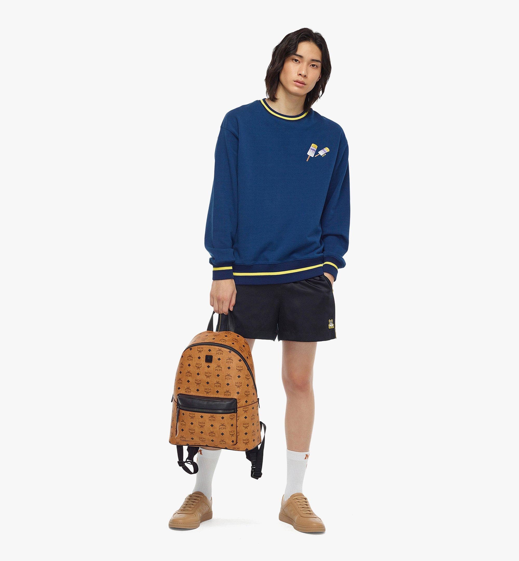 Stark Backpack in Visetos - 6