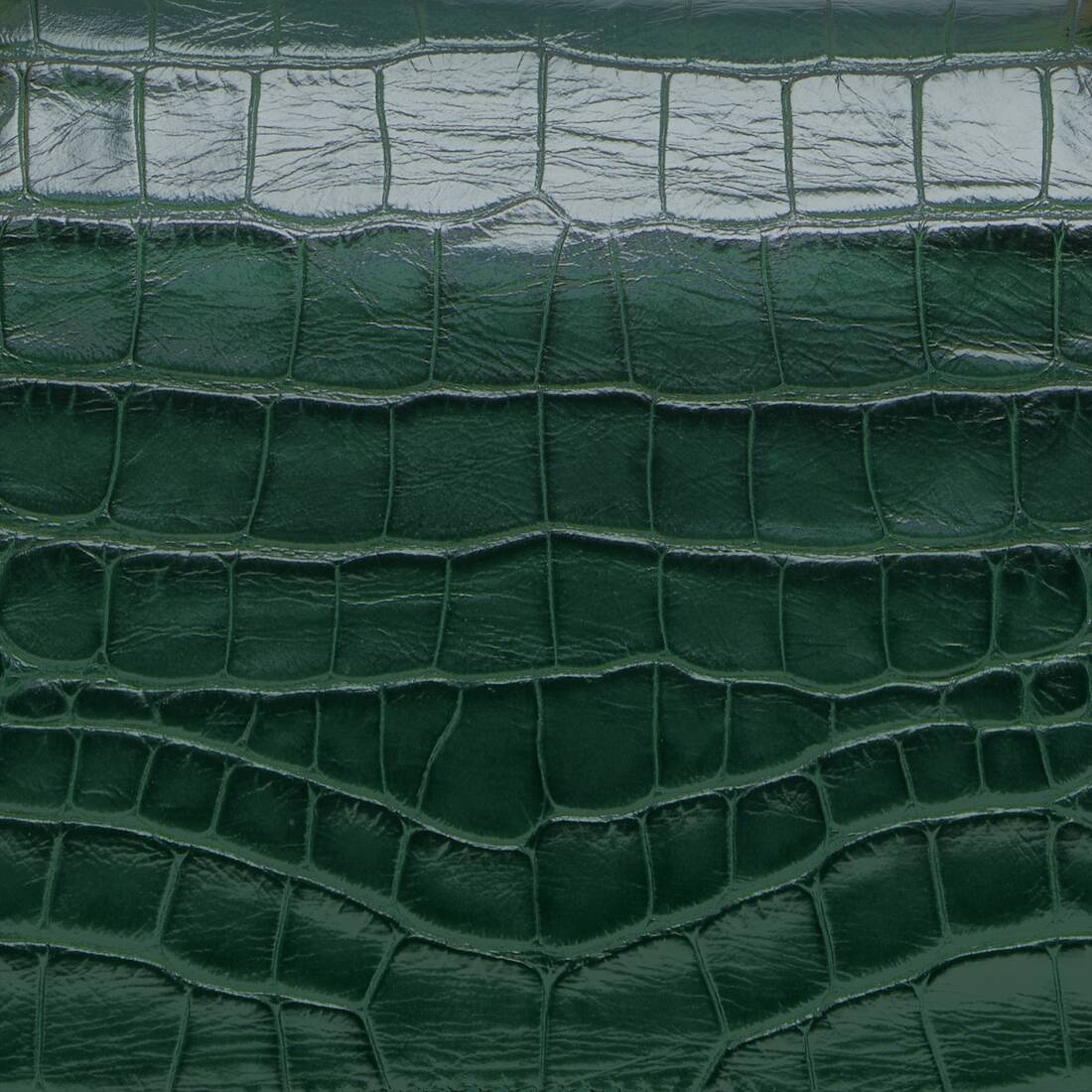 Women's Crush Small Chain Bag Crocodile Embossed in Forest Green - 10