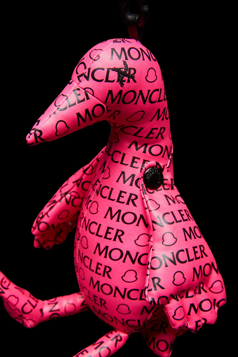 Duck-Shaped Key Holder 4