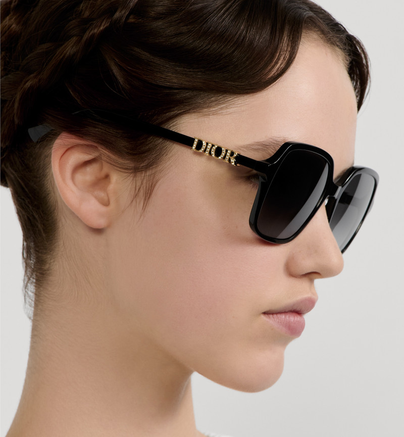 Dior DiorTreasure S1I outlook