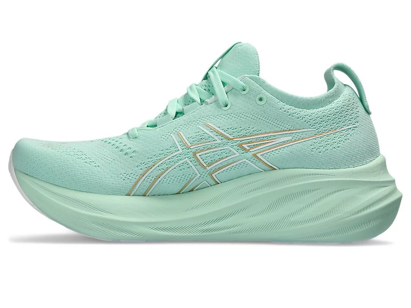Asics GEL-NIMBUS 26 outlook
