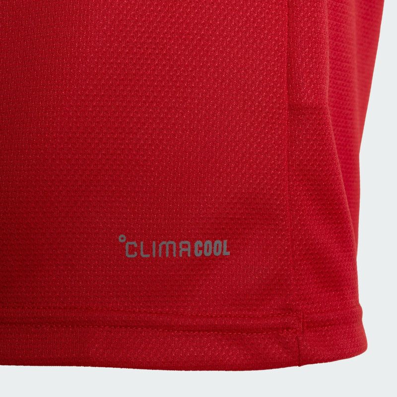 AS Roma 26/27 Home Jersey 5