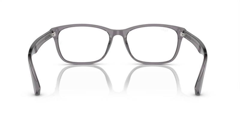 RB5315D OPTICS 6