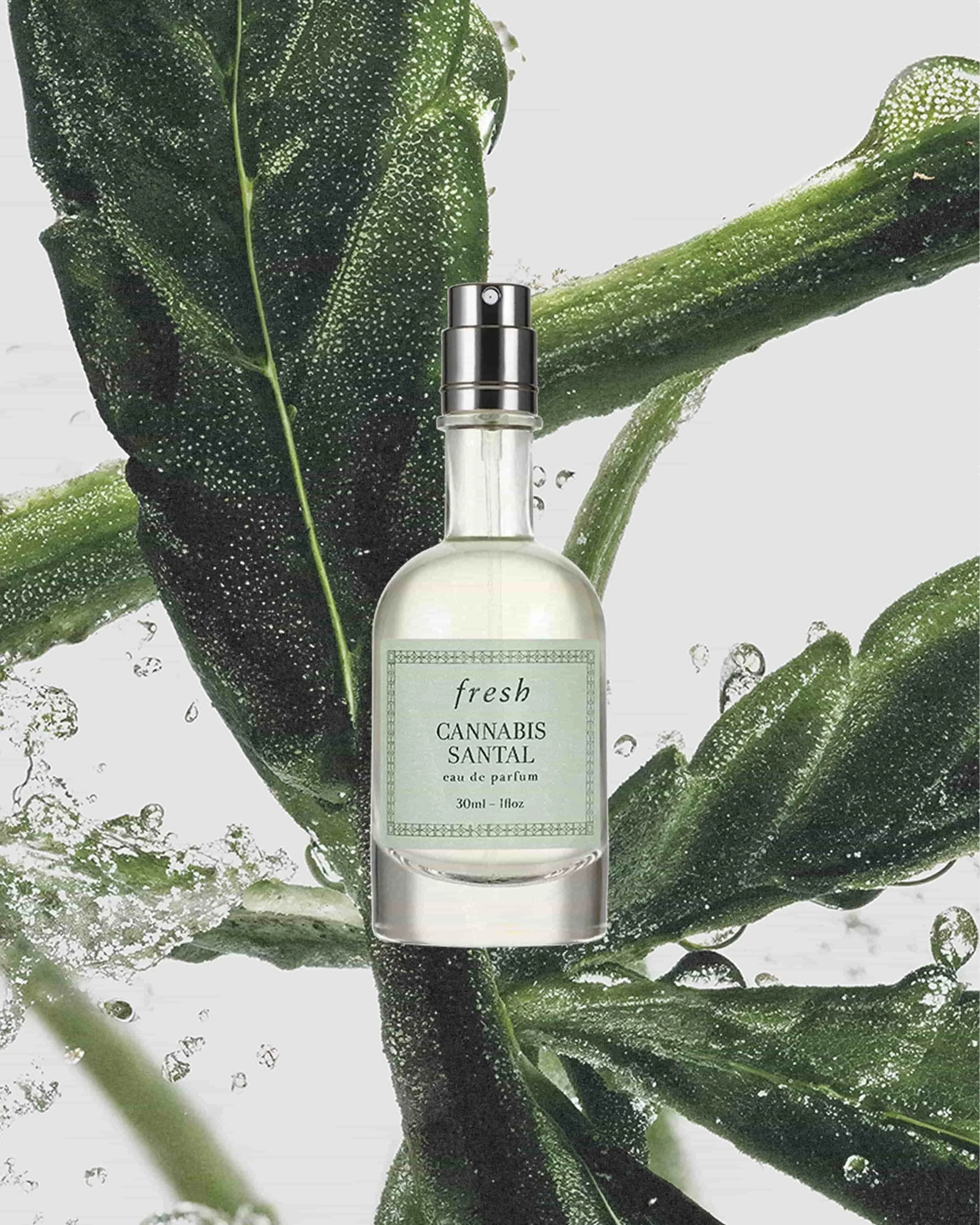 cannabis santal eau de parfum - 1