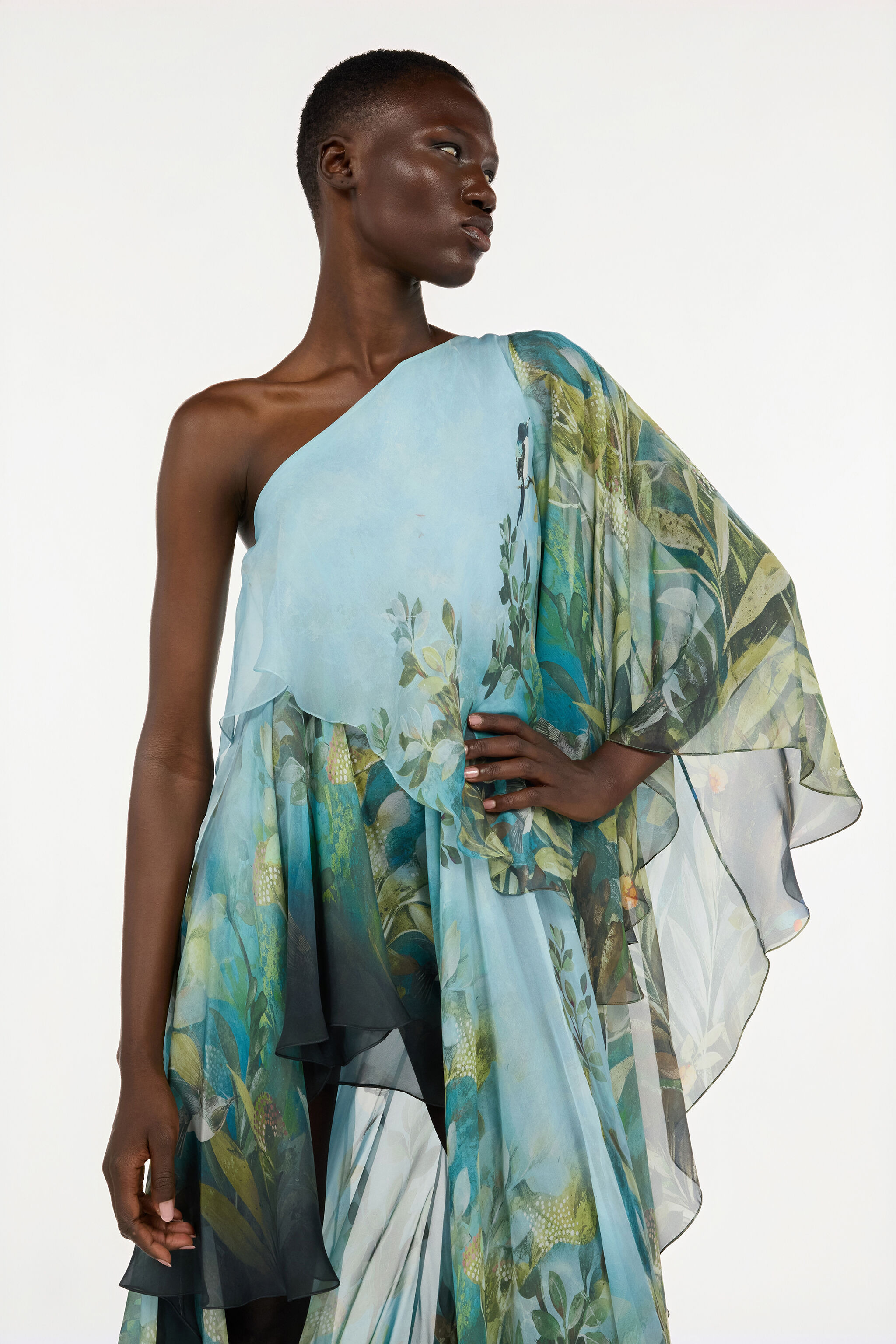 Extra-Long Silk Dress With Nature Print - 6