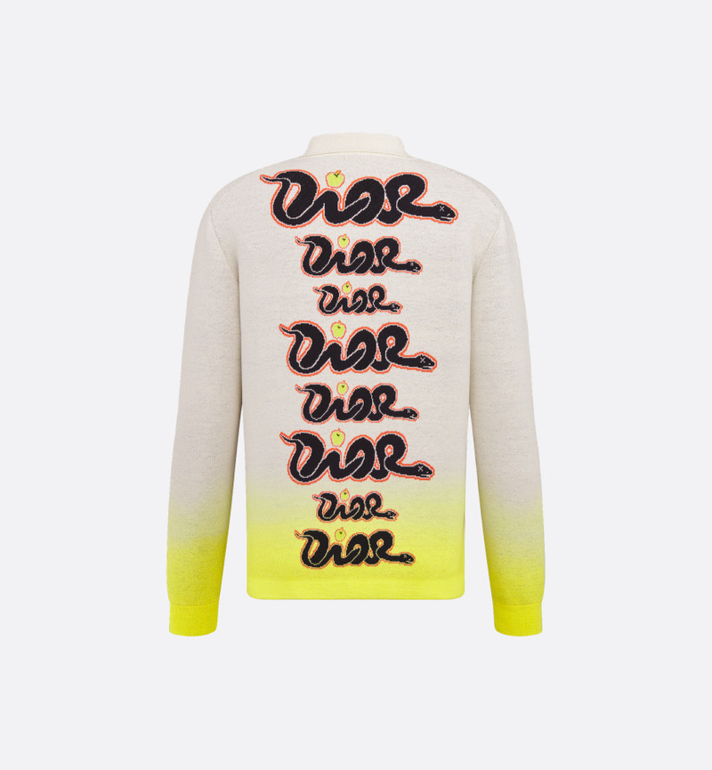 DIOR AND KAWS Long-Sleeved Polo Shirt 6