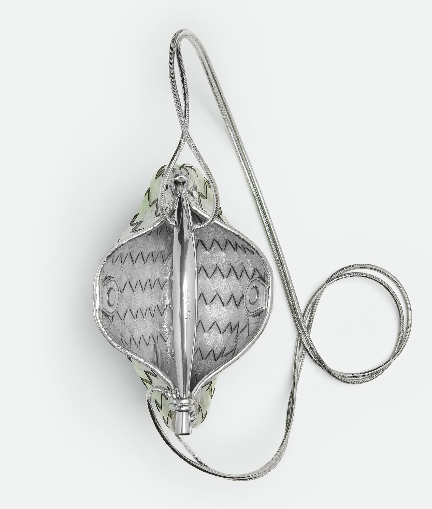 Baby Sardine - 3
