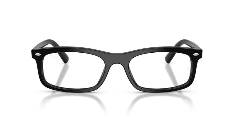 RB5450 OPTICS 4
