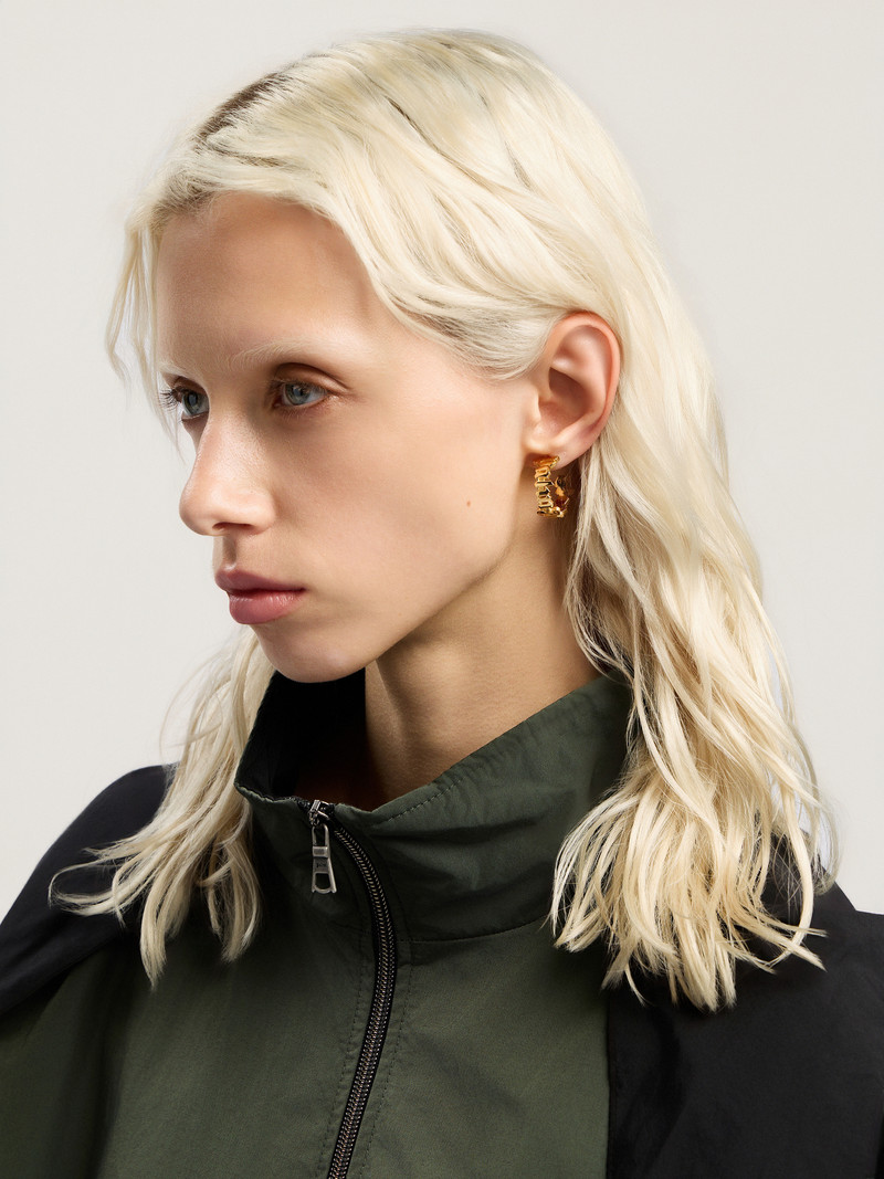 Classic Logo Earrings 3