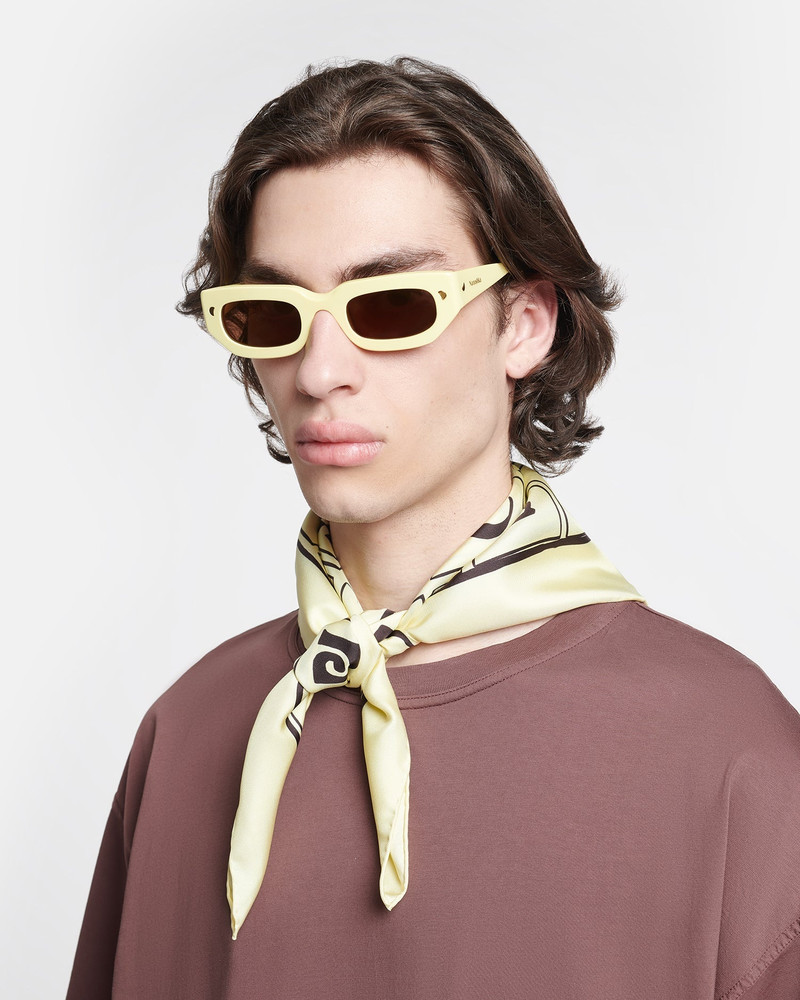 Printed Silk Scarf 3