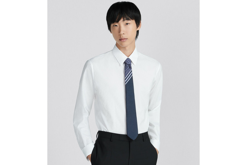 Striped Dior Oblique Tie 4