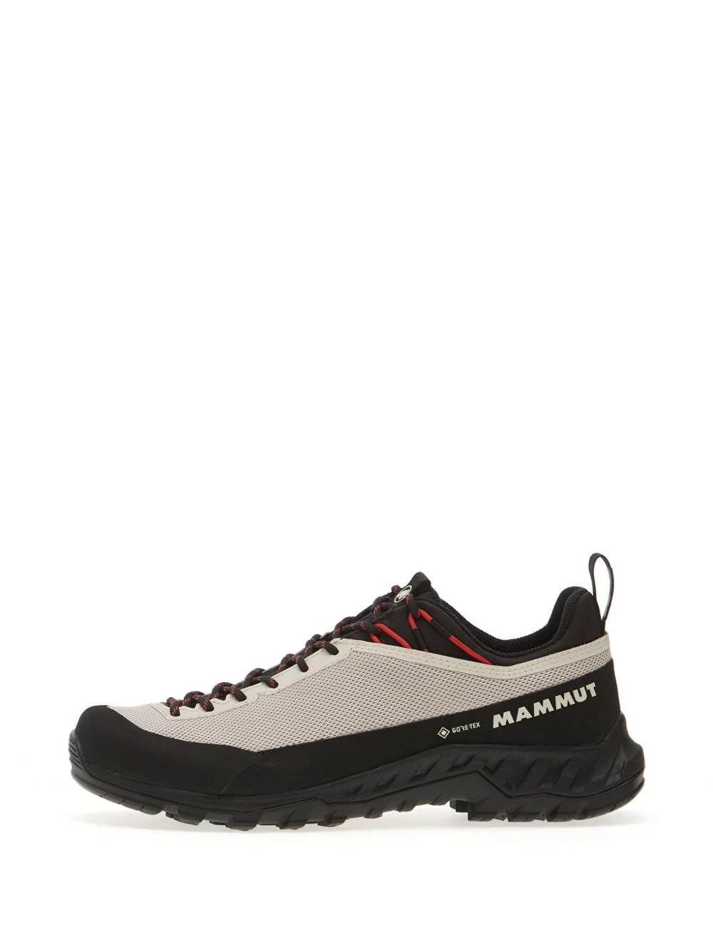 Alnasca IV Low GTX logo-print sneakers - 1