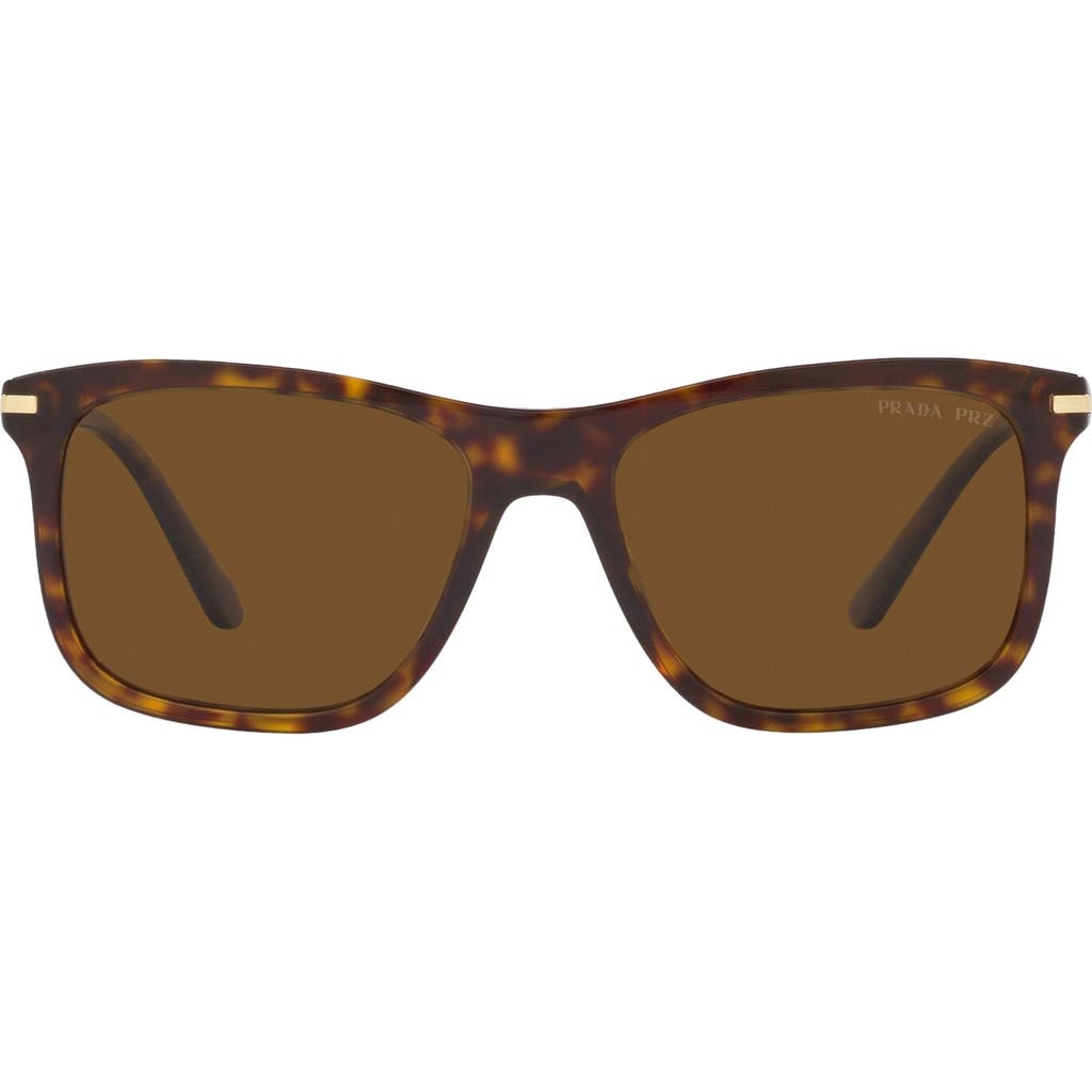 Prada 56mm Polarized Rectangular Sunglasses in Tortoise at Nordstrom - 1