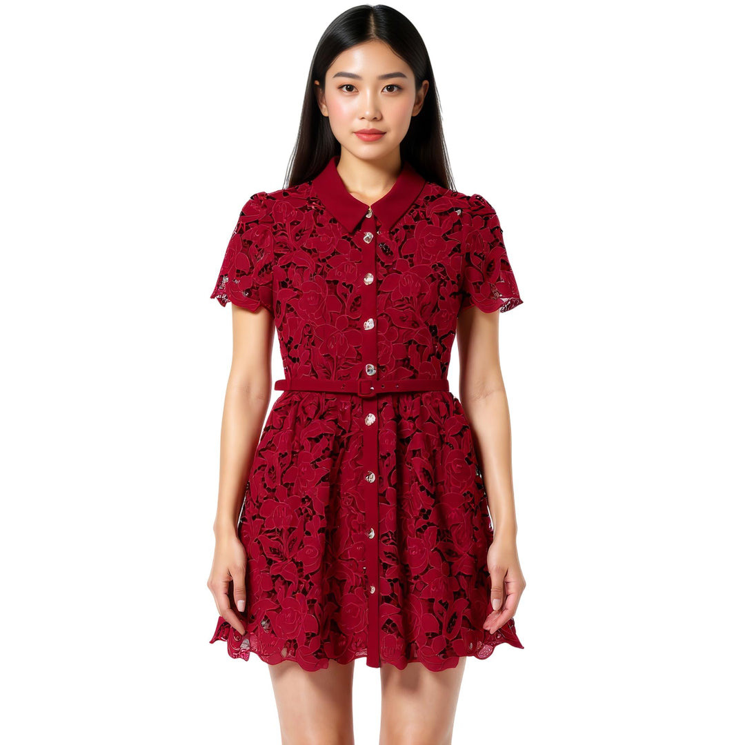 Burgundy Lace Collared Mini Dress - 2