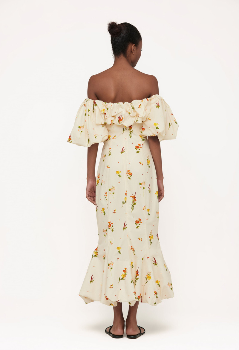 Caribe Clementina Maxi Dress 4