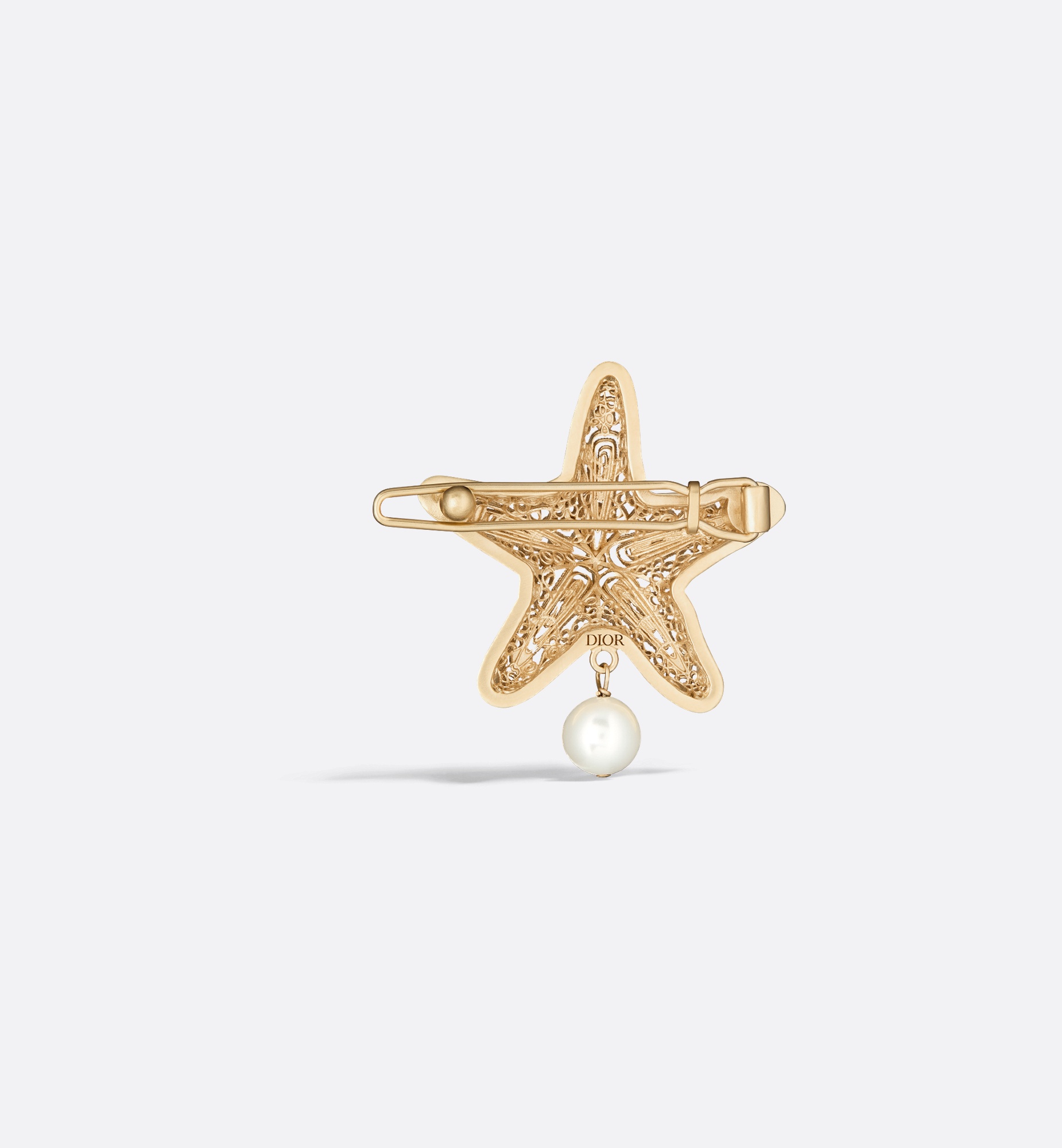 Dior Cabinet de Curiosités Barrette - 3