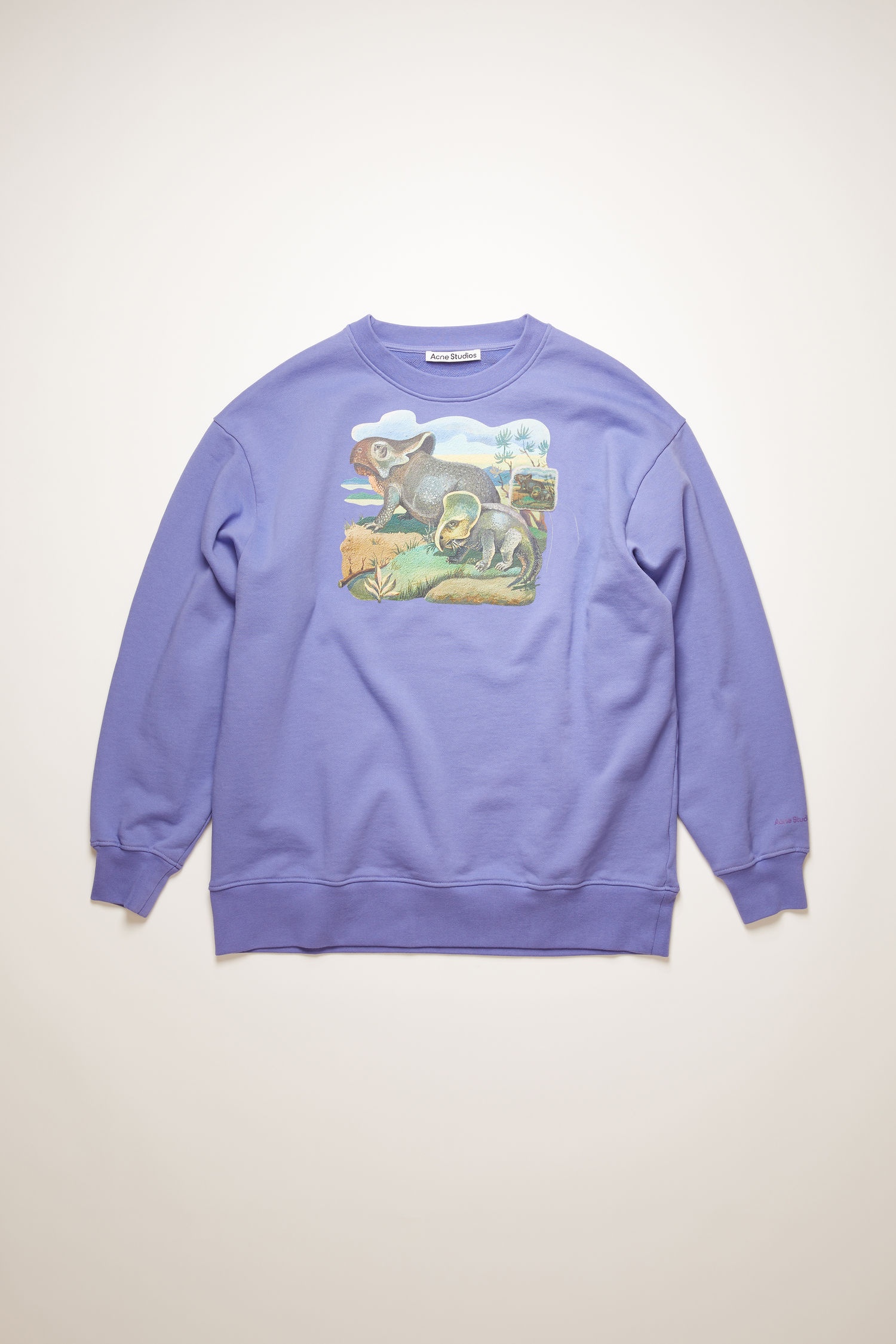 Dinosaur print sweatshirt dusty purple - 1