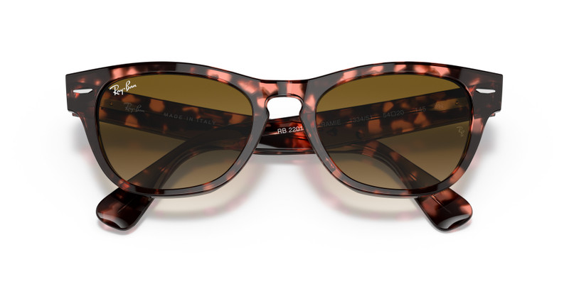 Ray-Ban LARAMIE outlook