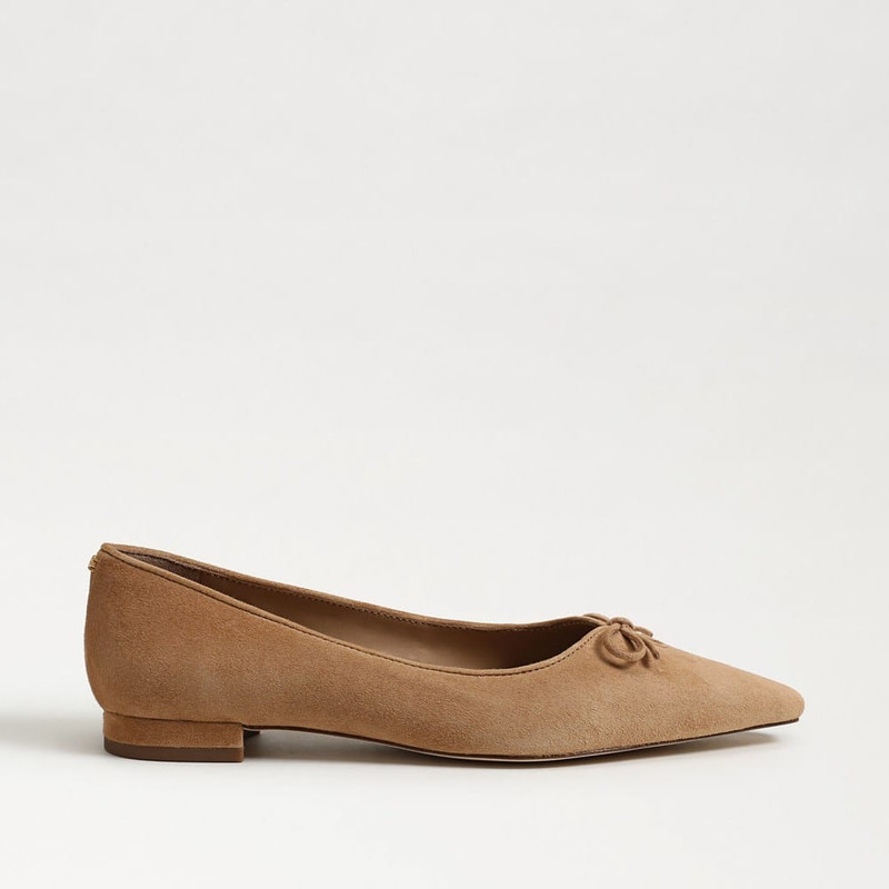 Esmira Pointed Toe Ballet Flat 1