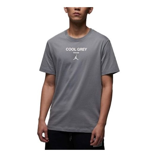 Air Jordan T-Shirt 'Cool Grey' FN3716-065 - 1