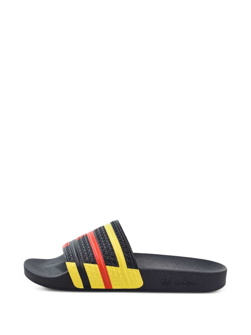 Adieltte slides 1