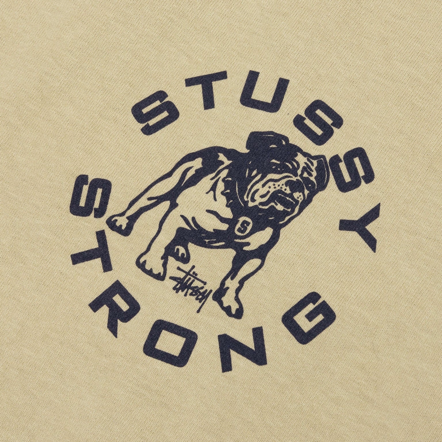 STRONG MAC PIGMENTED DYED TEE - ELM - 3