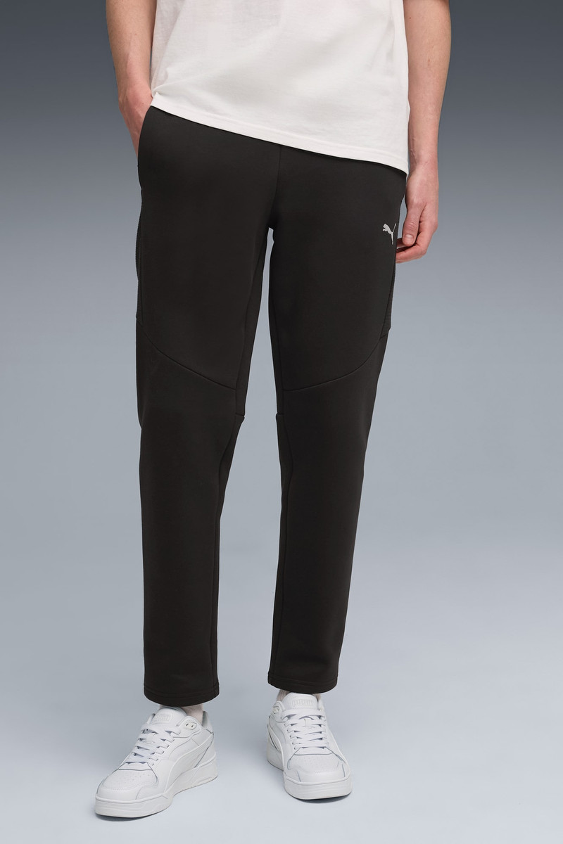 PUMA Evostripe Pants Men outlook