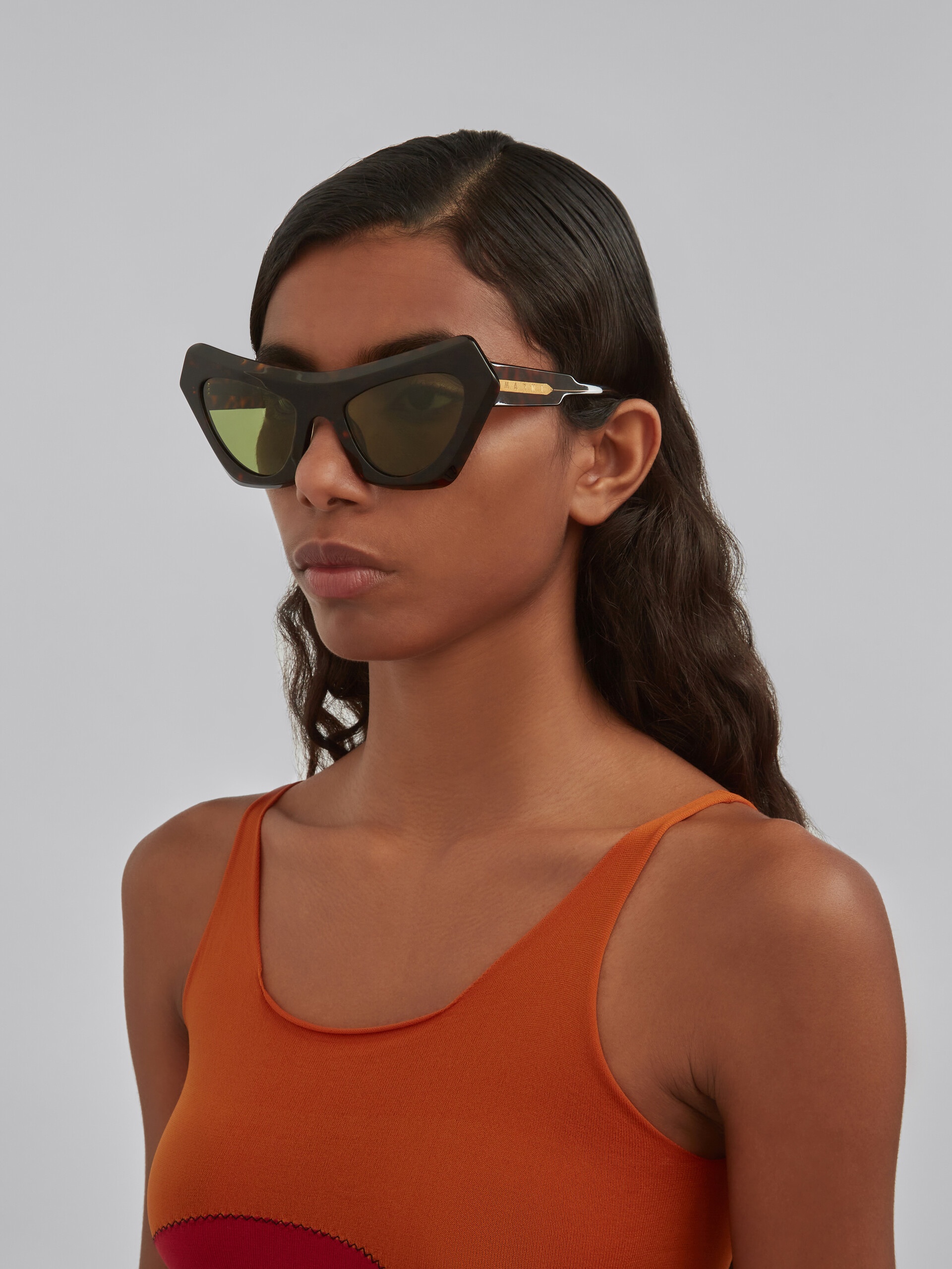 DEVIL'S POOL HAVANA SUNGLASSES - 2