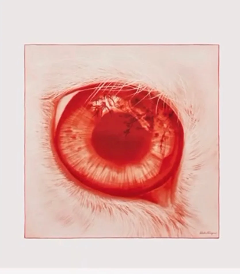 Ferragamo Eye Print Silk Scarf - 1