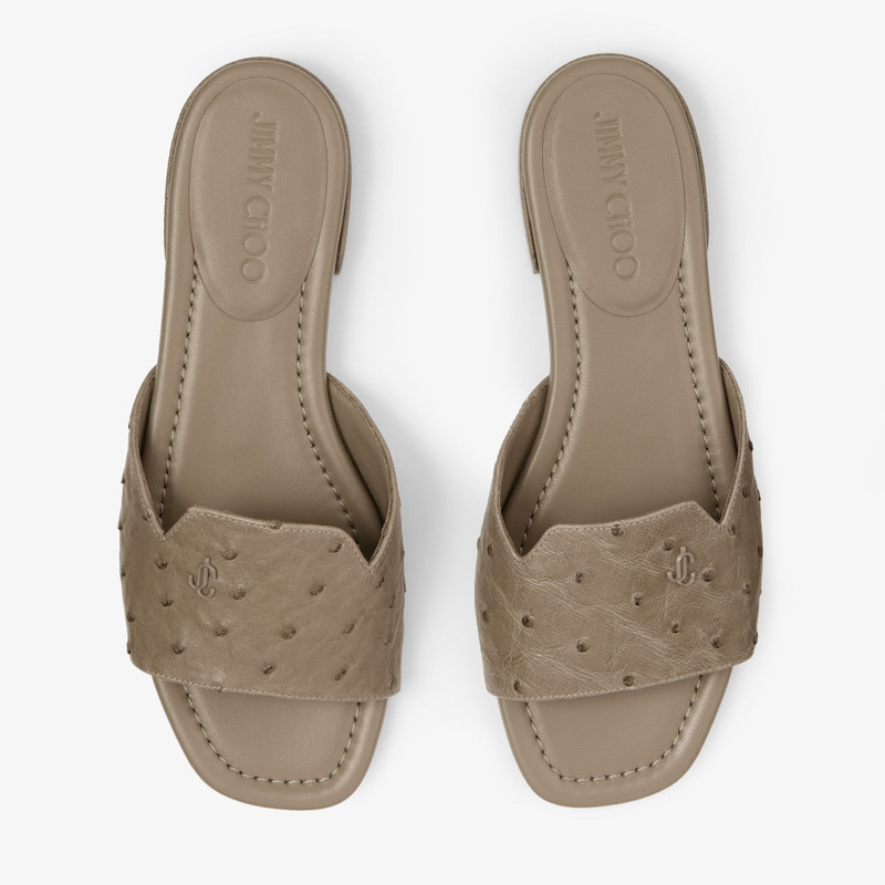 Dina Flat Taupe Ostrich Leather Flats 5