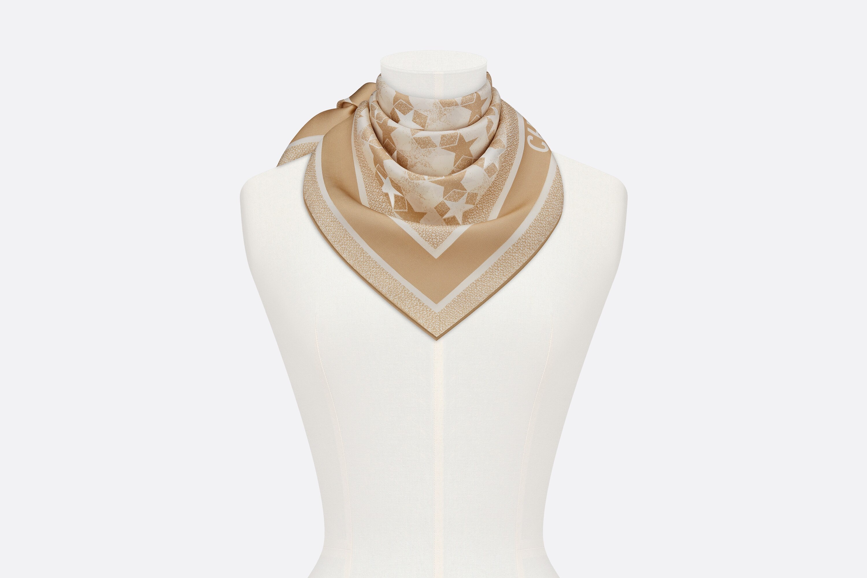 Dior Étoile Square Scarf - 4