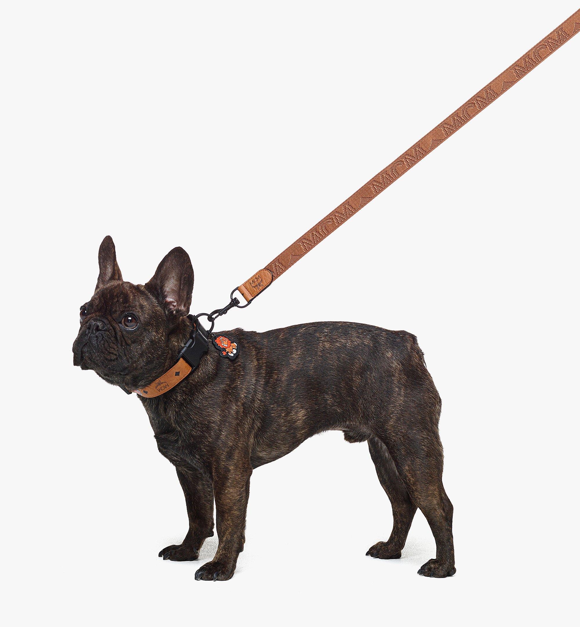Haru, Henry, Kaiser Pet Leash in Visetos - 2