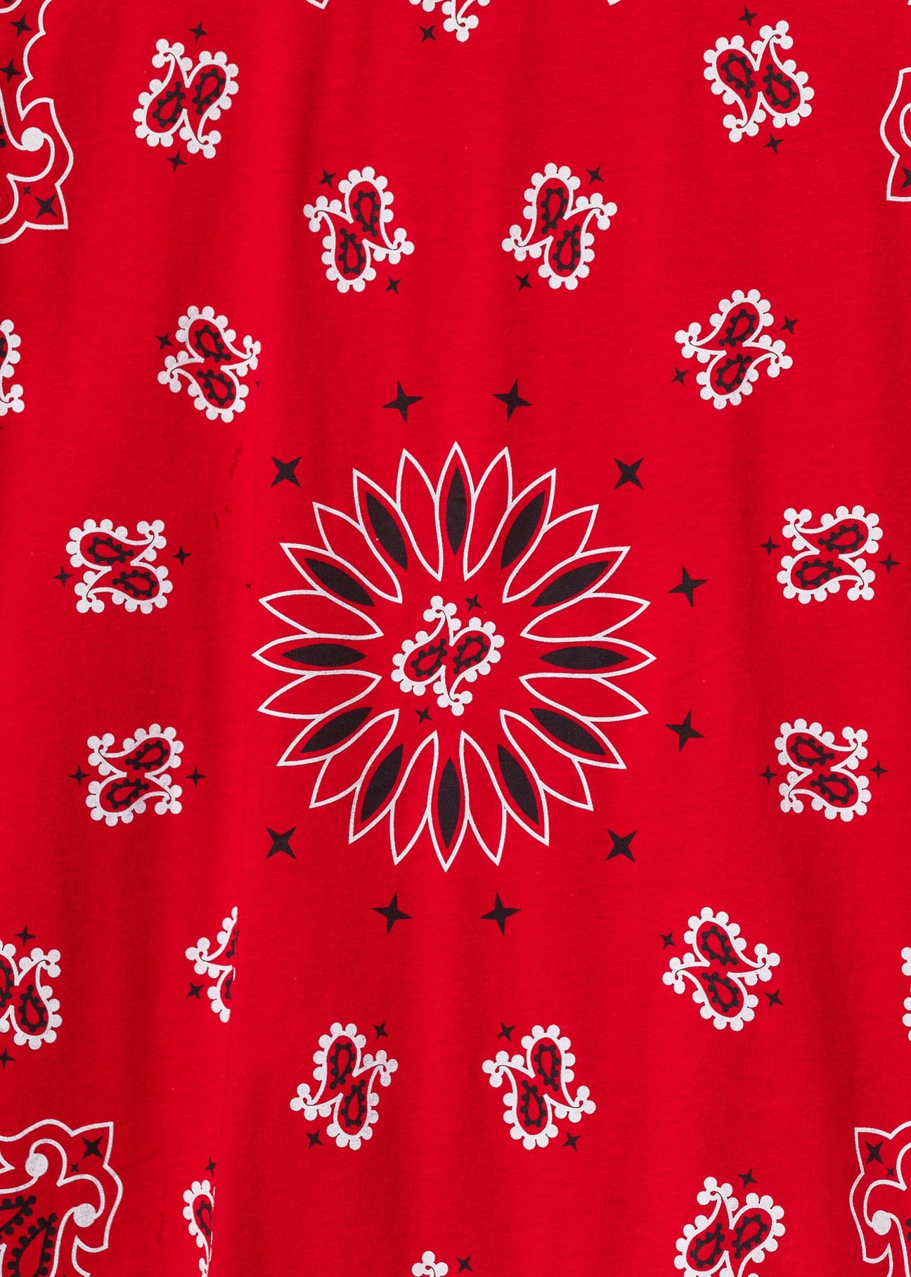 Supreme Red Paisley T-Shirt - 5