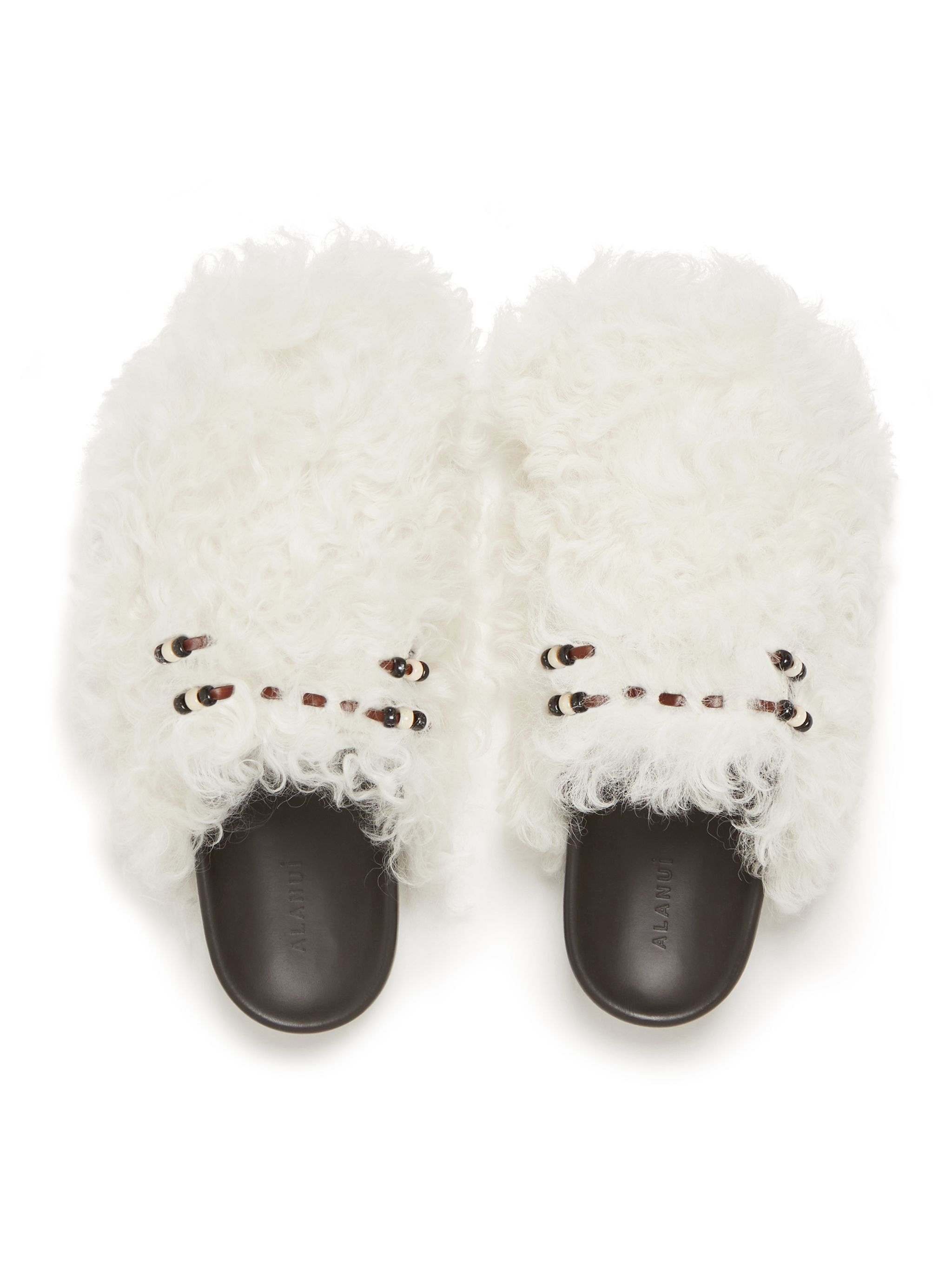 The Journey Fur Mules - 6