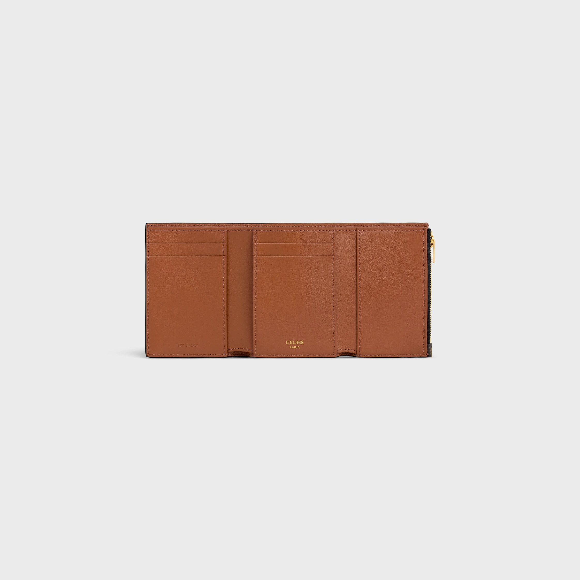 FINE STRAP WALLET NINO IN Triomphe Canvas - 4