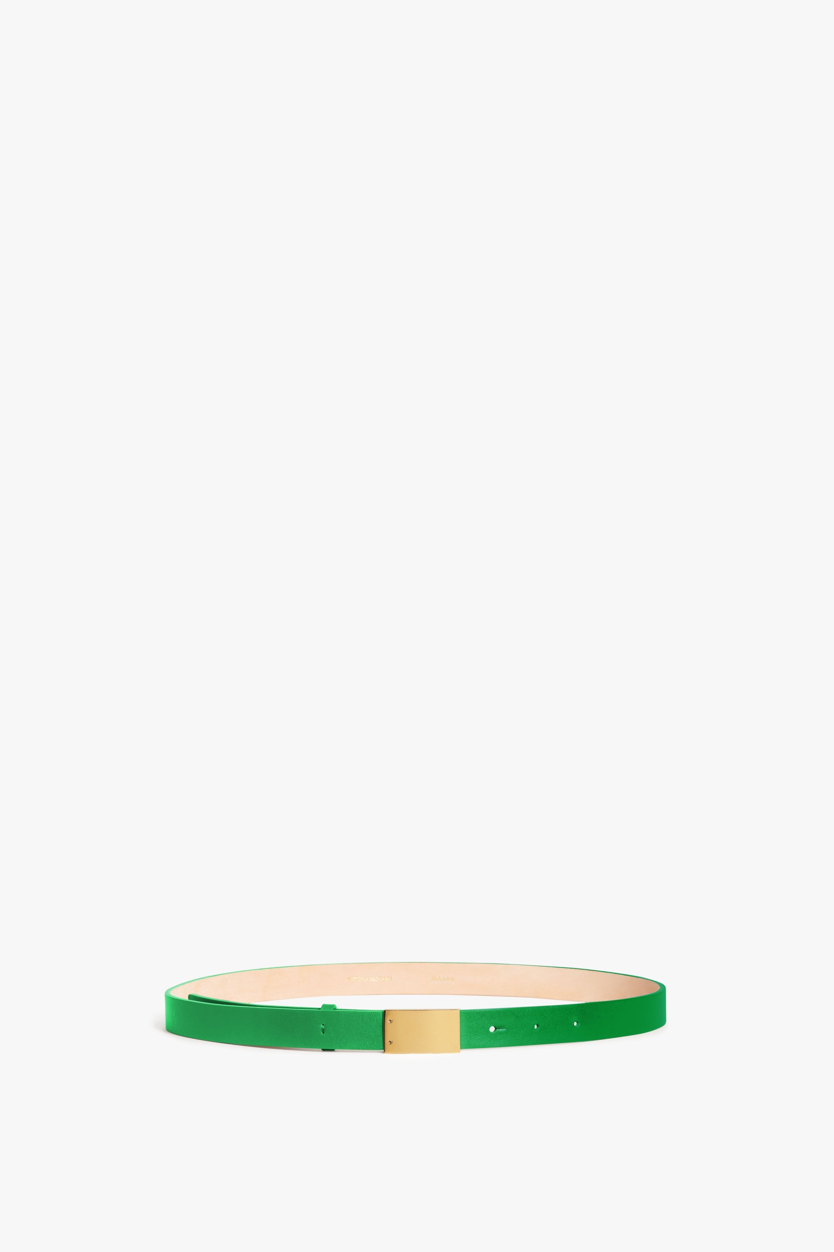 Thin Belt With Plaque Buckle in Green - 1