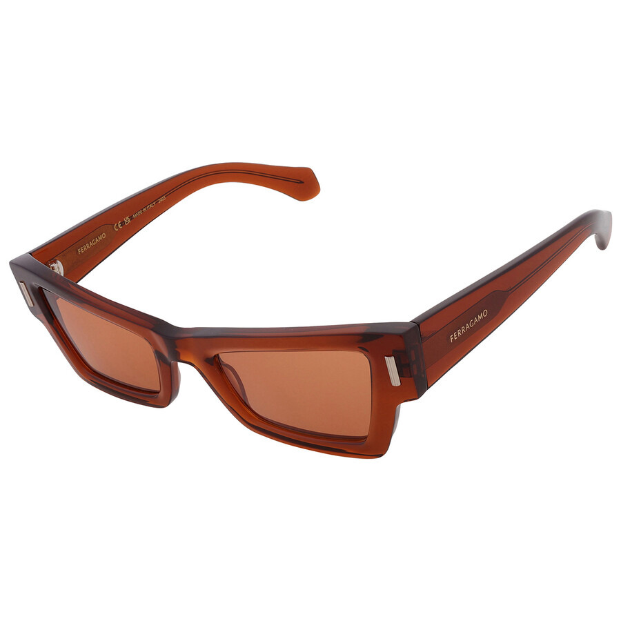 Ferragamo Brown Cat Eye Ladies Sunglasses SF2006S 232 53 - 3