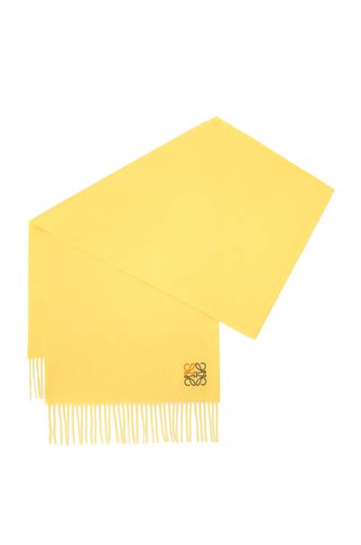 Loewe Anagram scarf in cashmere outlook