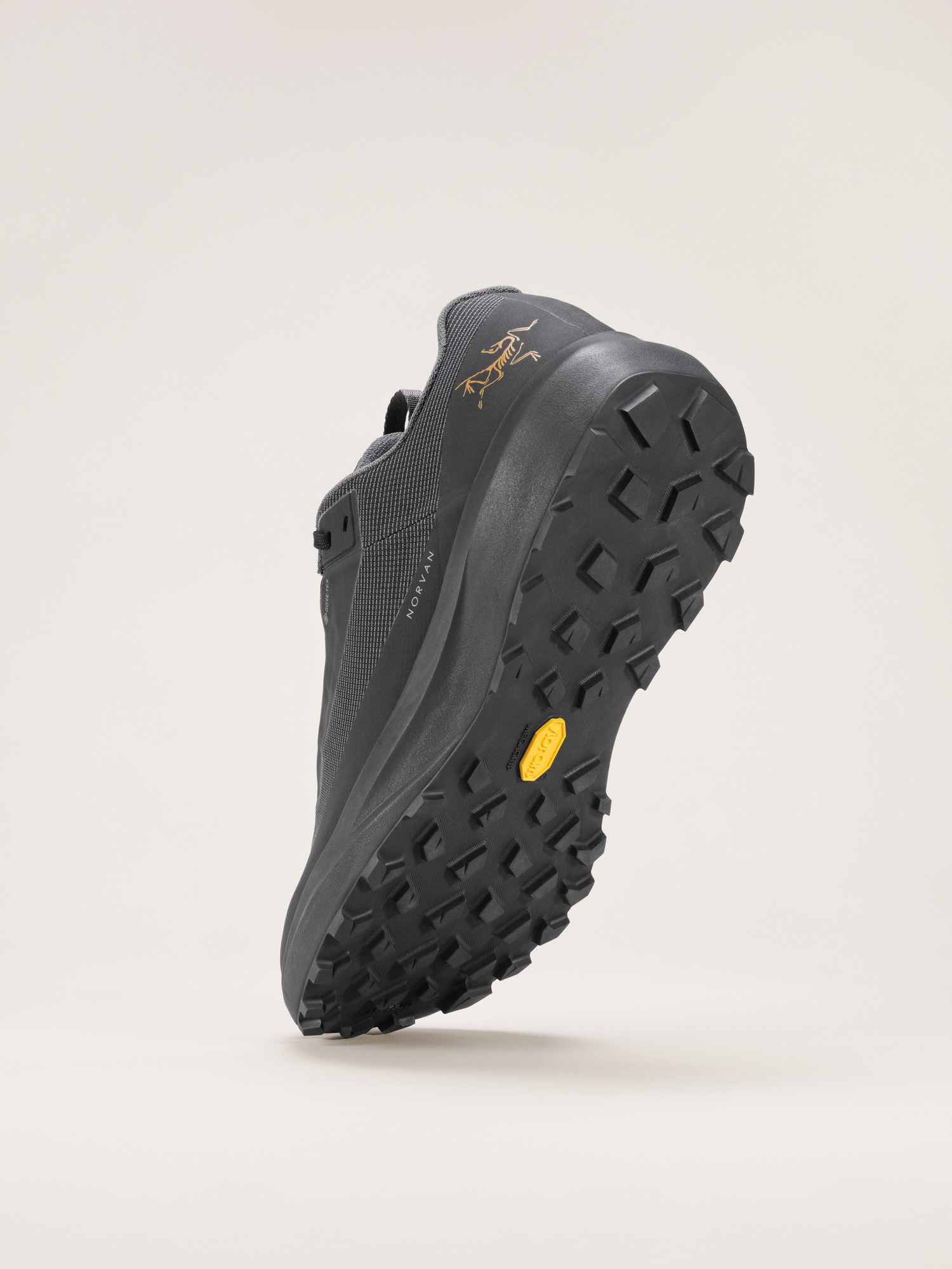 Norvan LD 4 GTX Shoe - 4