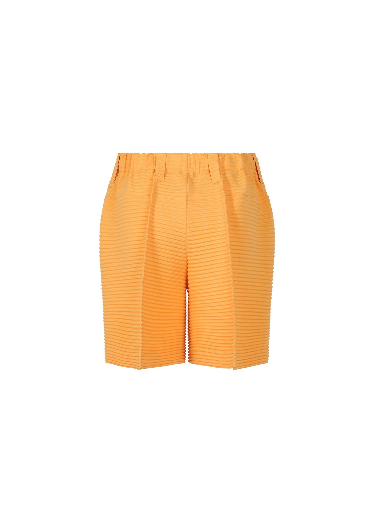HORIZON PLEATS 2 PANTS - 2