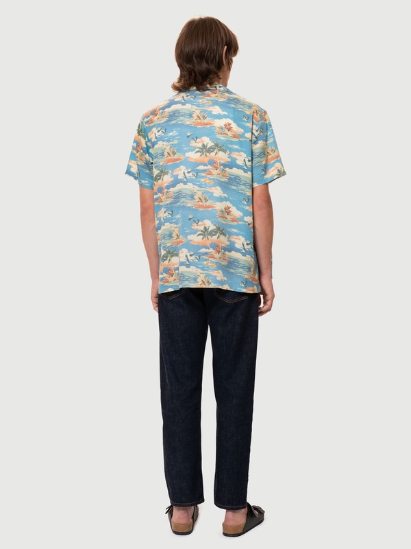 Arvid Hawaii Azure - 4