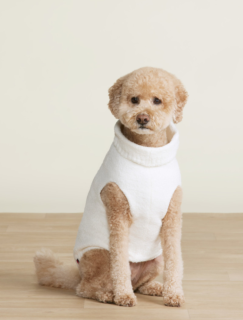 Barefoot Dreams CozyChic® Team USA Flag Olympic Ring Pet Sweater outlook