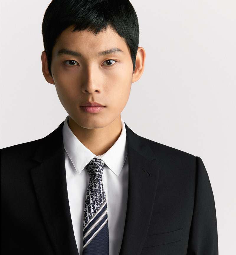 Striped Dior Oblique Tie 3