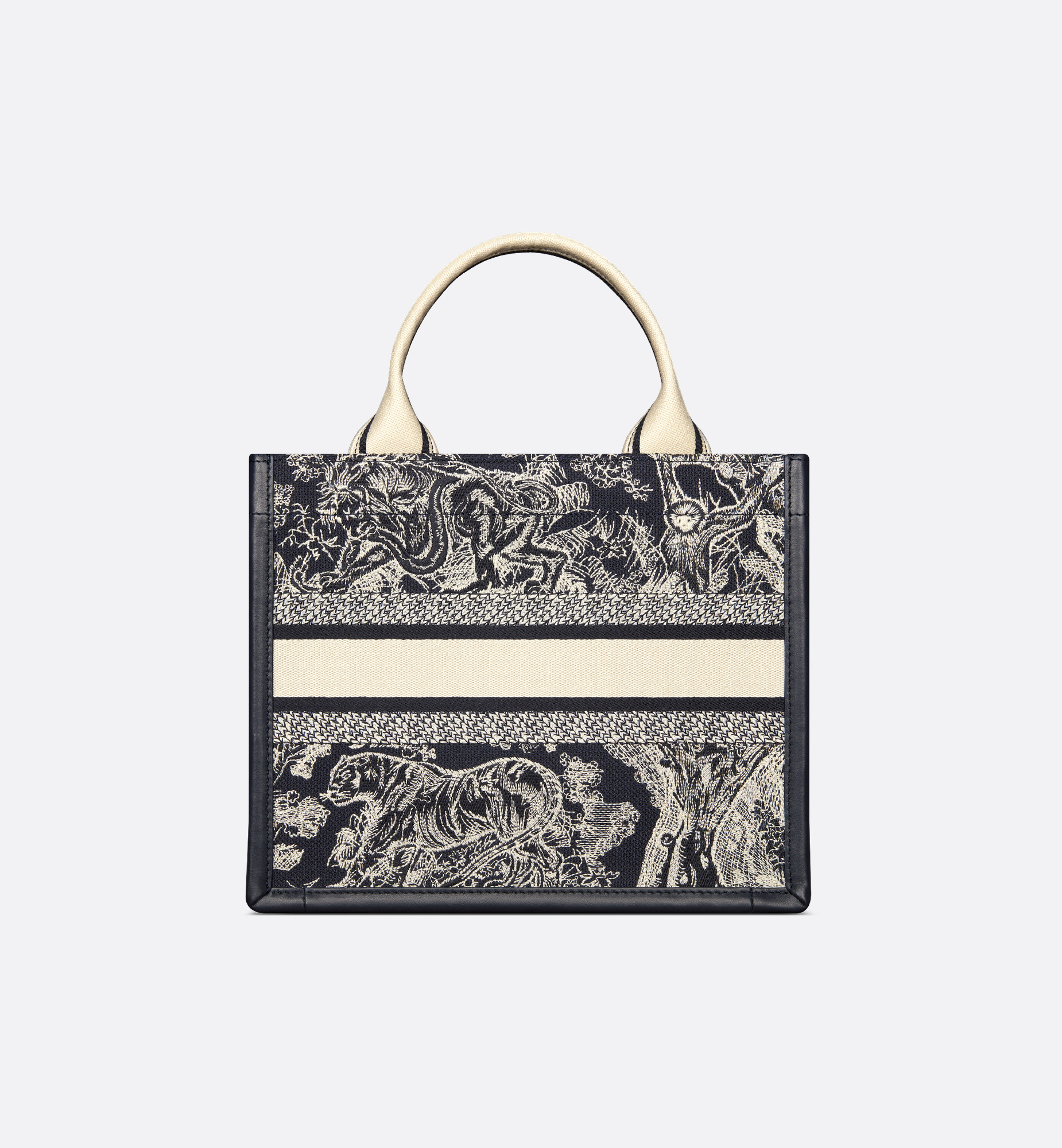 Small Dior Book Tote - 2
